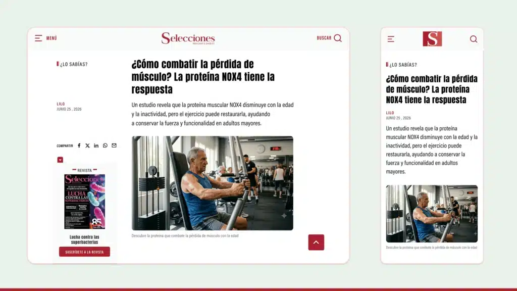 frame_04_selecciones